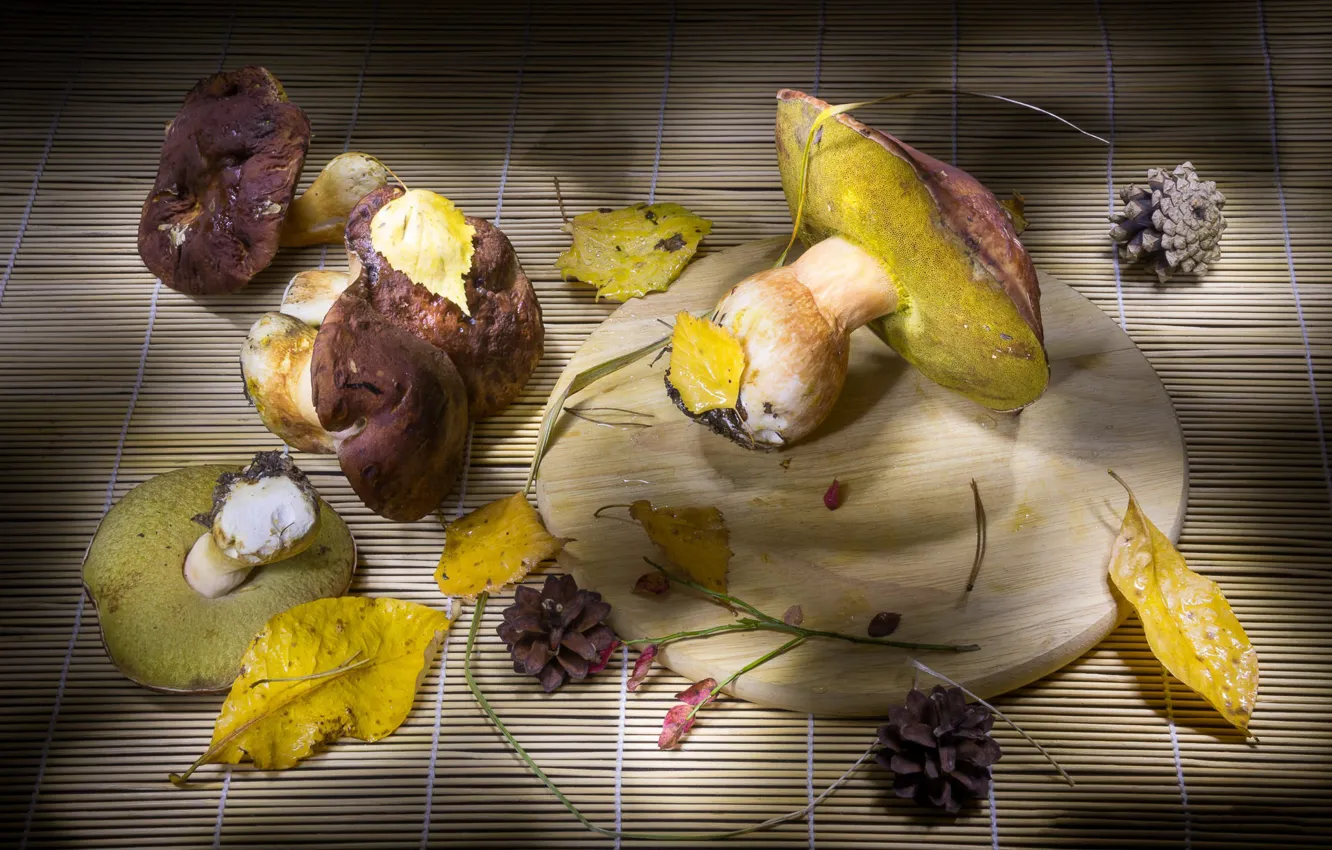Photo wallpaper mushrooms, still life, bumps, Mat, autumn leaves, cutting Board, boletus