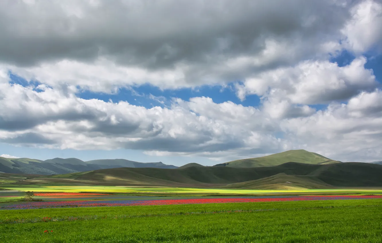 Photo wallpaper field, the sky, clouds, flowers, mountains, strip, hills, dal