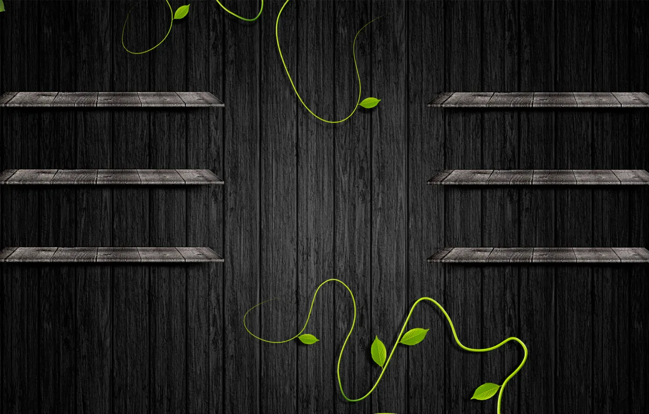 Photo wallpaper greens, trees, black, shelves