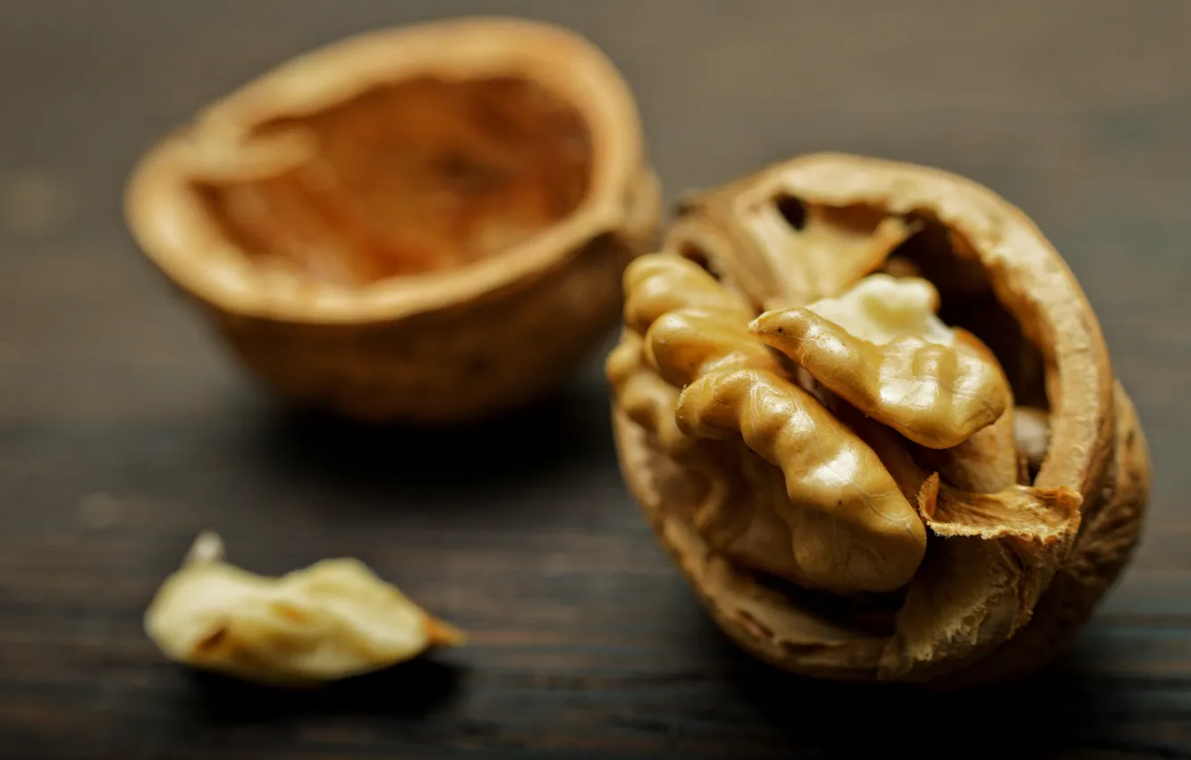 Photo wallpaper macro, shell, bokeh, walnut