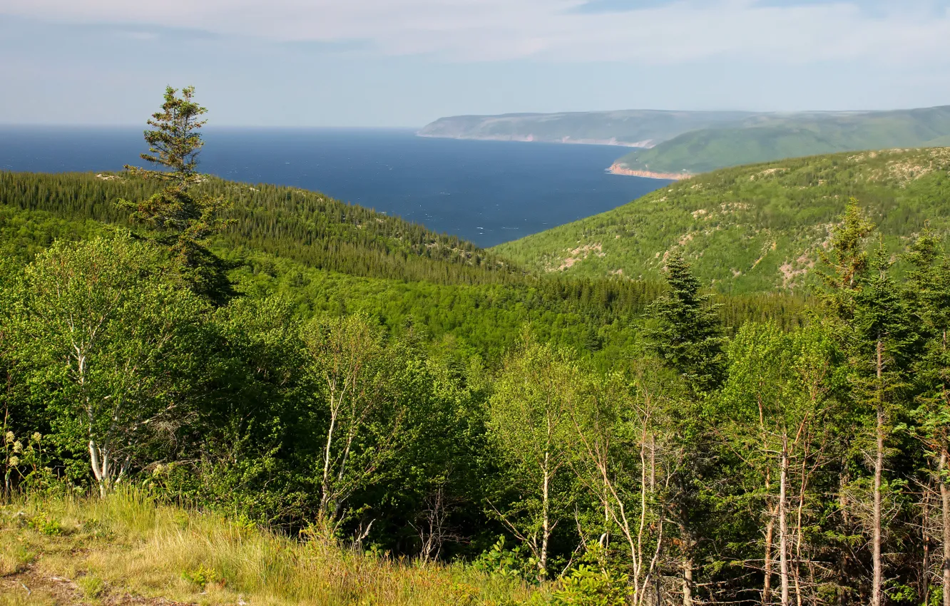 Photo wallpaper sea, forest, summer, trees, mountains, coast, horizon, Canada