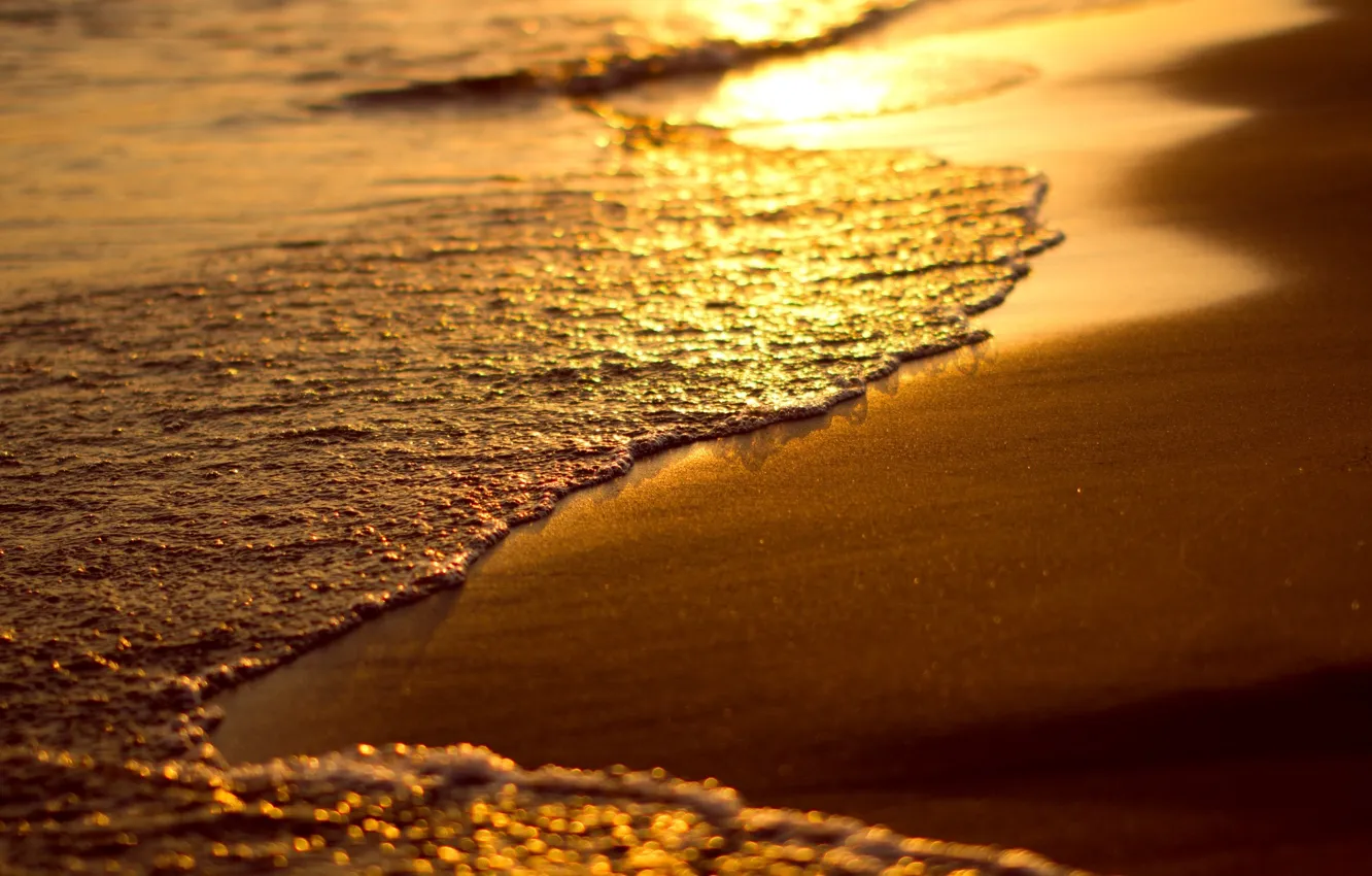 Photo wallpaper sand, sea, beach, water, macro, sunset, background, Wallpaper