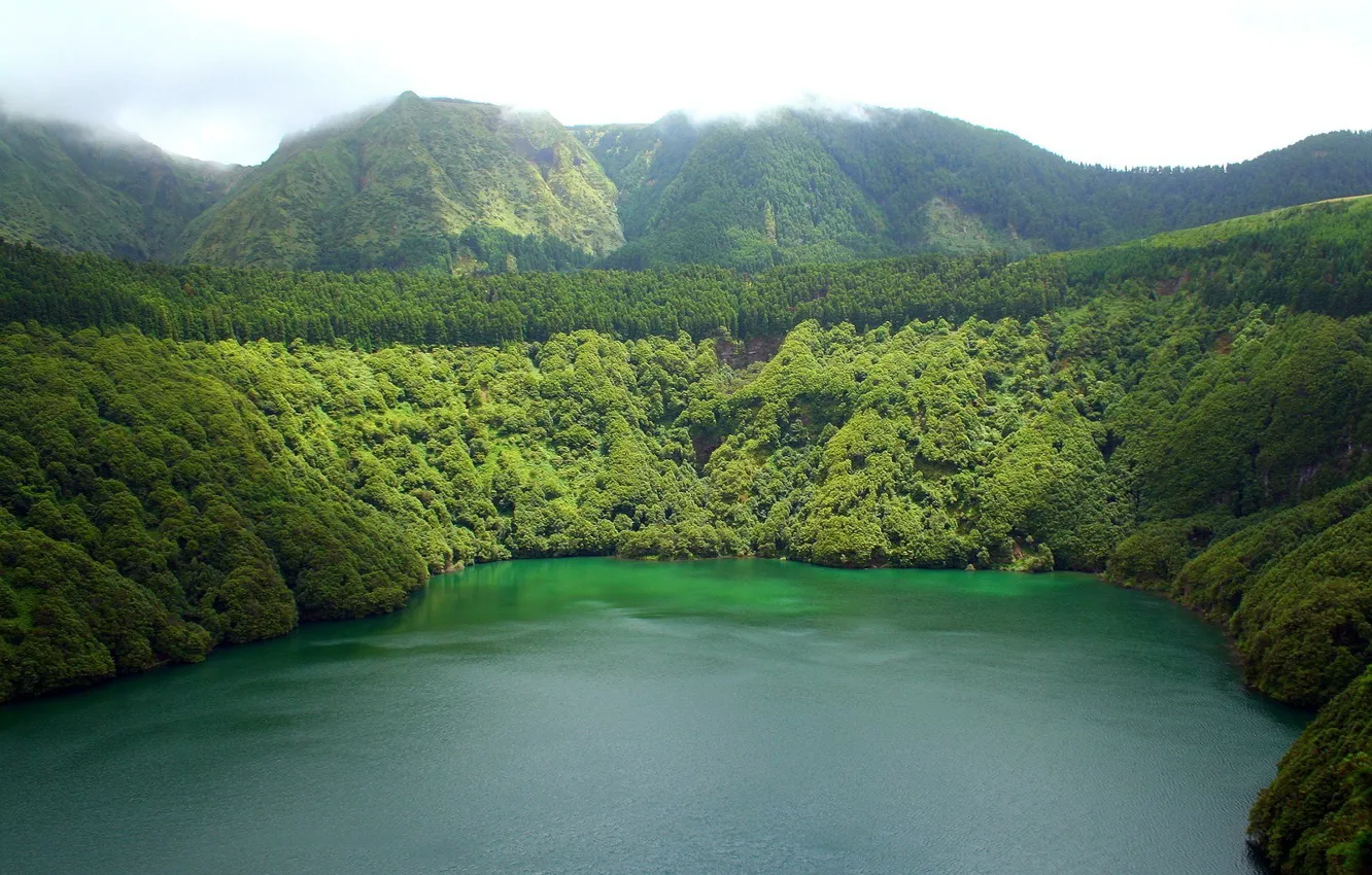 Photo wallpaper trees, mountains, lake