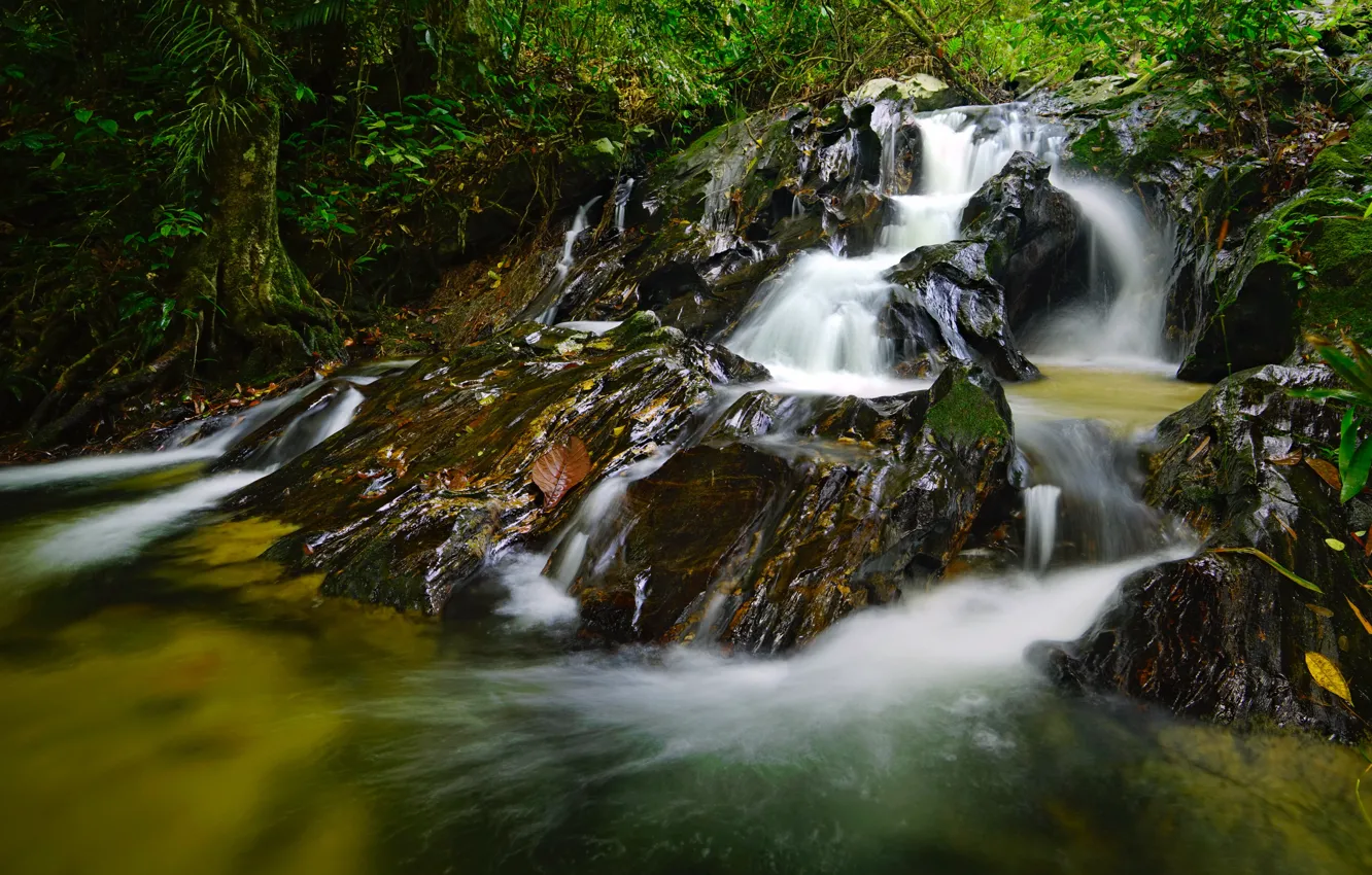 Photo wallpaper nature, rocks, shore, waterfall, stream