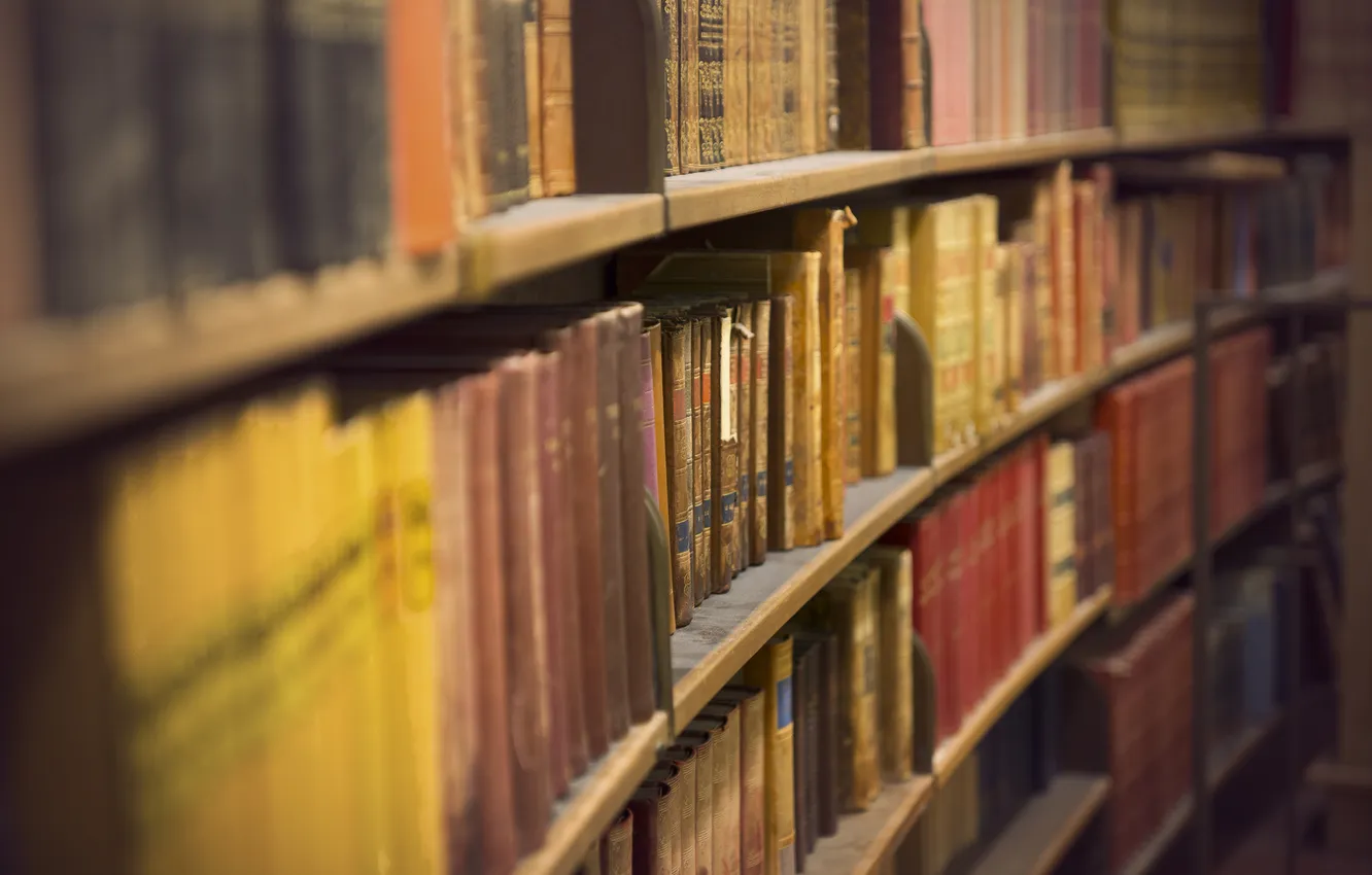 Photo wallpaper books, library, shelves