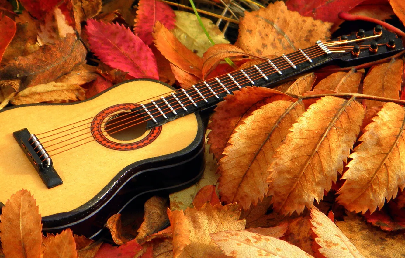 Photo wallpaper leaves, music, guitar
