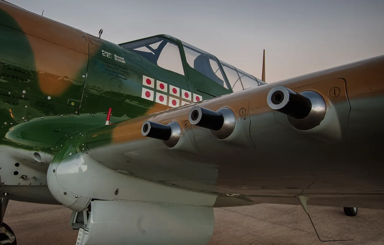 Photo wallpaper weapons, fighter, P-40, Warhawk