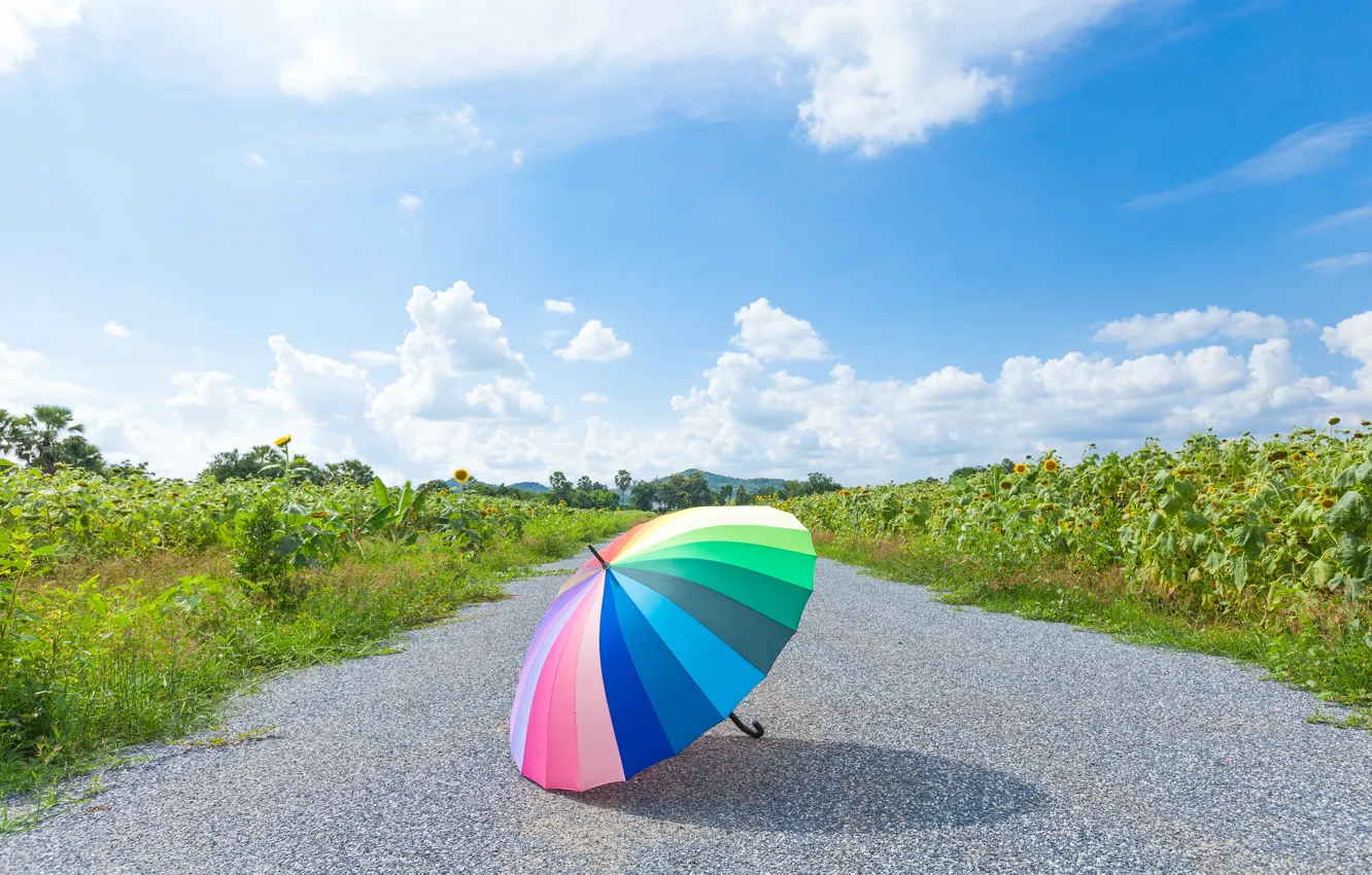 Photo wallpaper road, summer, Park, rainbow, umbrella, colorful, rainbow, summer