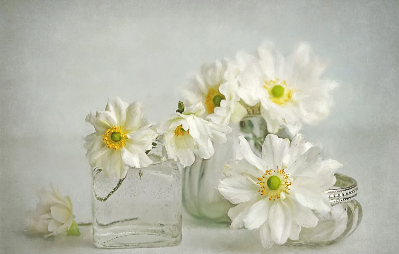 Photo wallpaper glass, flowers, background, art, jars, Bank, white, painting