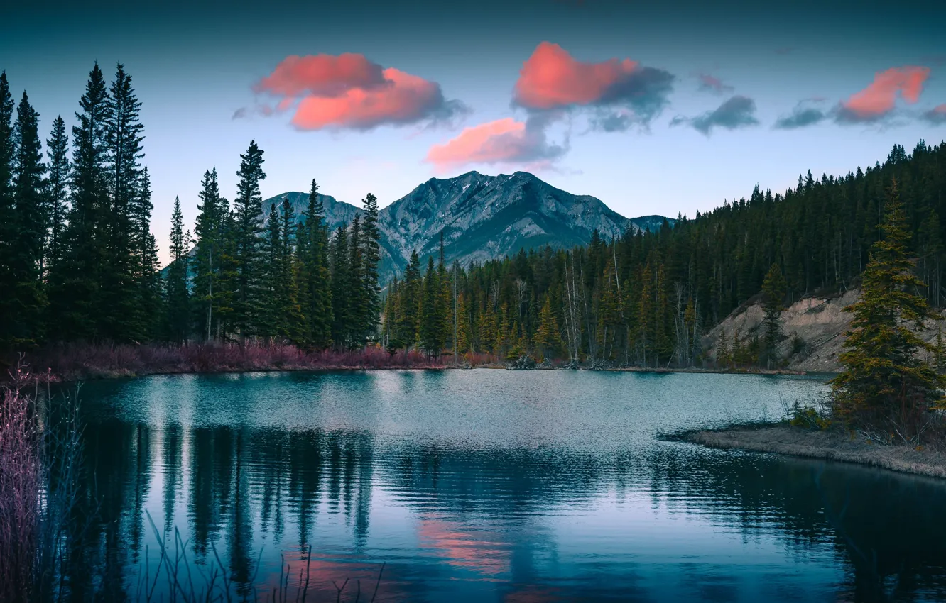 Photo wallpaper the sky, water, clouds, trees, mountains, lake