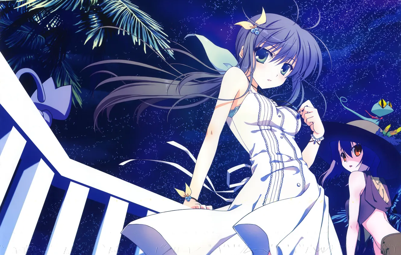 Photo wallpaper the sky, cat, leaves, girl, stars, night, palm trees, animal