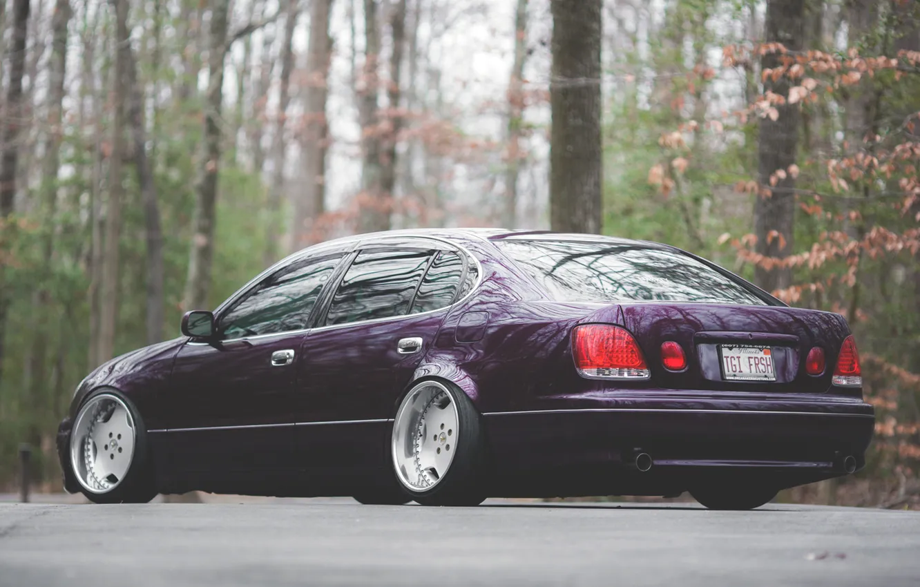 Photo wallpaper forest, Lexus, Lexus, GS430