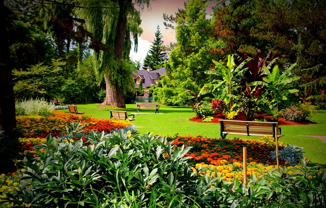Photo wallpaper trees, flowers, house, lawn, the fence, garden, Canada, benches
