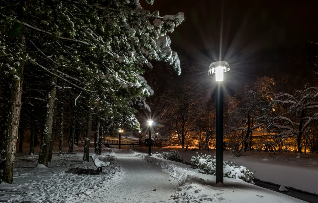 Photo wallpaper winter, snow, trees, bench, night, lights, Park, lights