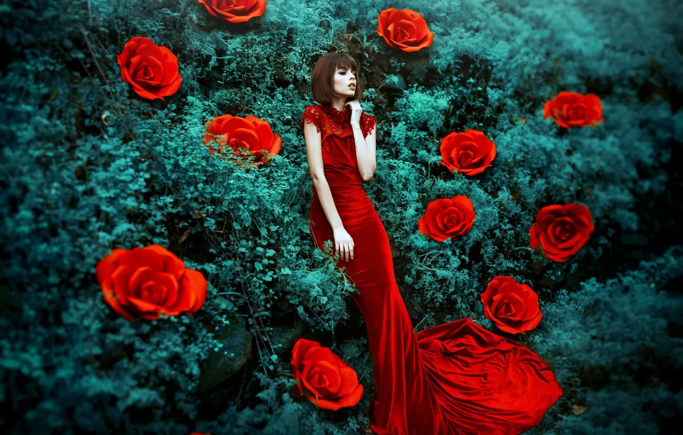 Photo wallpaper girl, flowers, style, mood, roses, red dress, Maria Eugenia