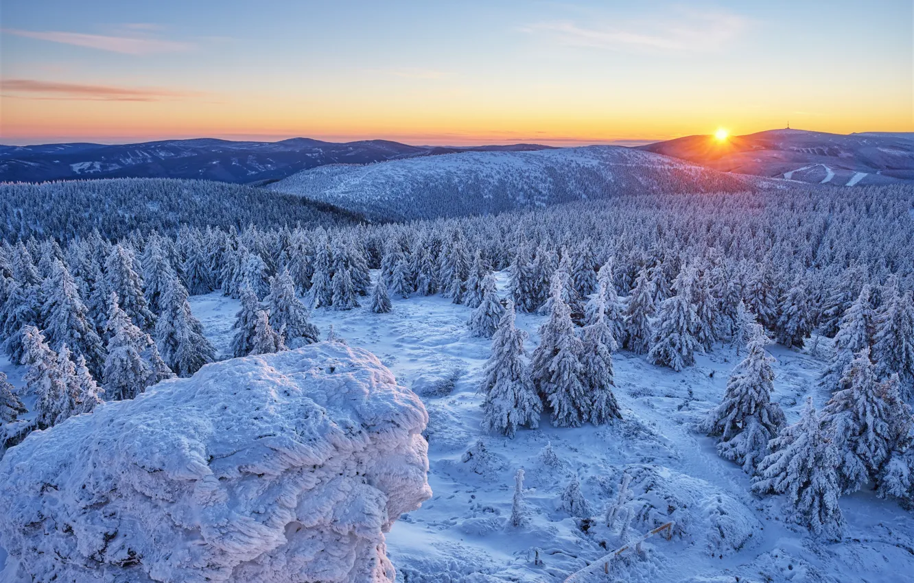 Photo wallpaper winter, forest, snow, mountains, sunrise, dawn, hills, morning