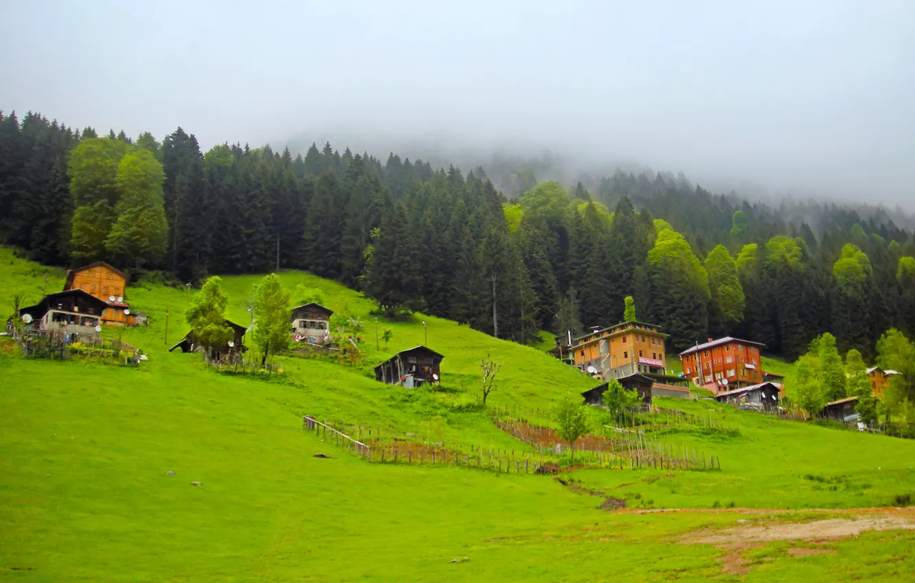 Photo wallpaper forest, village, Turkey, plateau, Rize