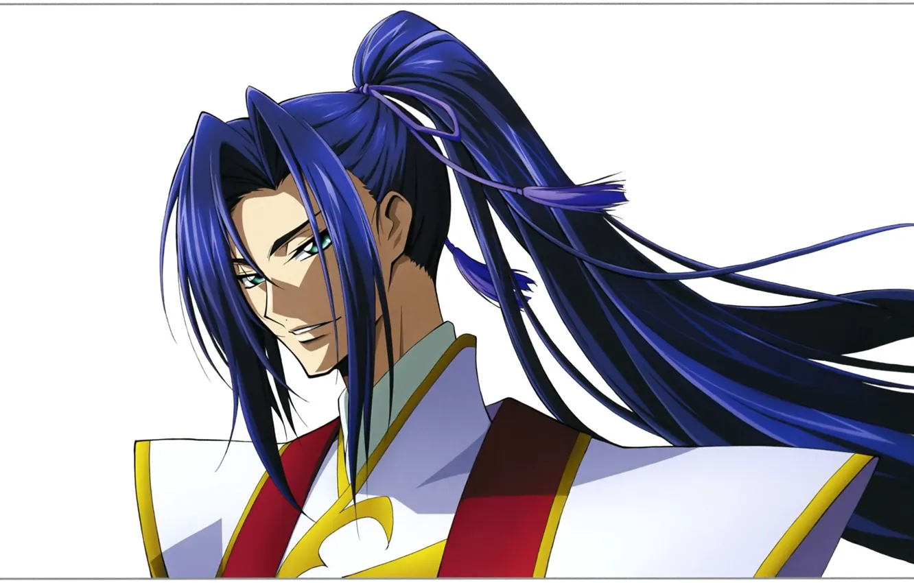 Photo wallpaper costume, white background, long hair, grin, blue hair, Renegade Akito, Akito the Exiled, Shin Hyuuga …