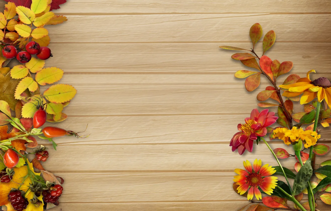 Photo wallpaper autumn, leaves, flowers, berries, background, vintage, background, autumn