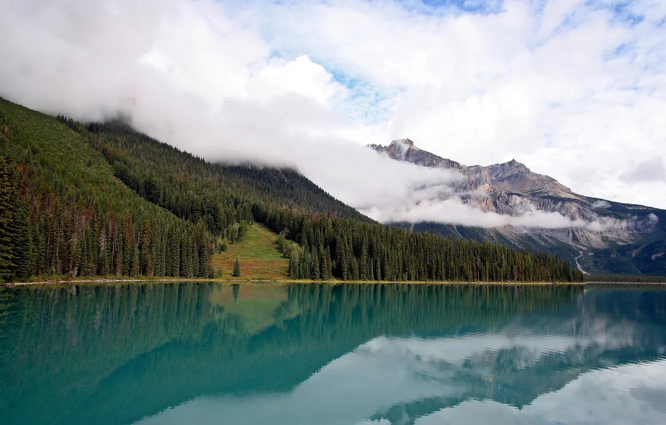 Photo wallpaper forest, water, landscape, nature, lake, river, photo, Wallpaper