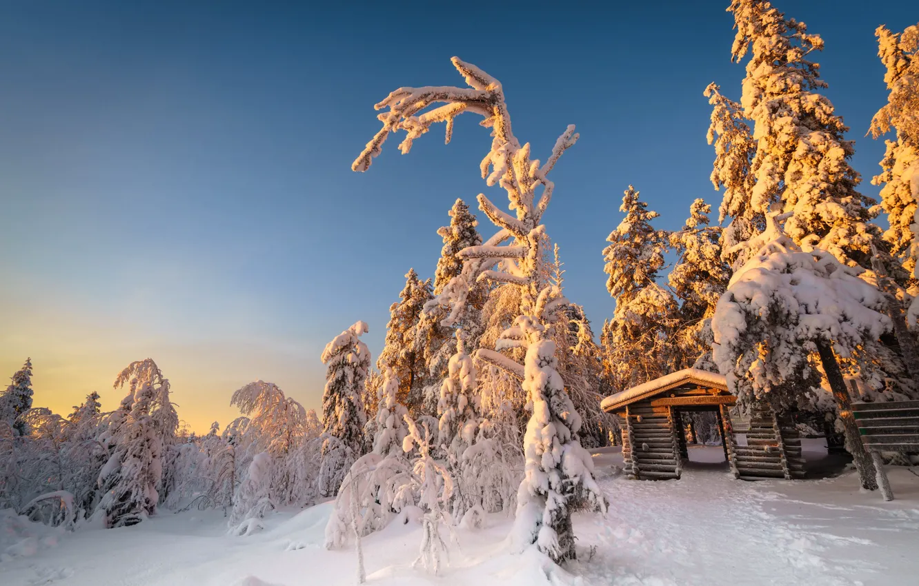 Photo wallpaper winter, frost, forest, snow, trees, nature, Park, hut