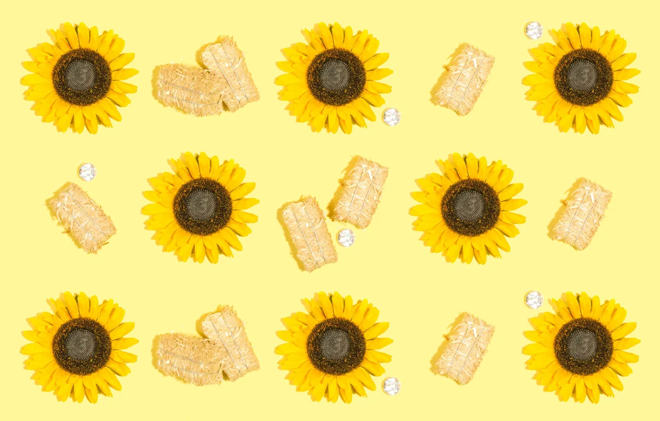 Photo wallpaper sunflowers, flowers, plant