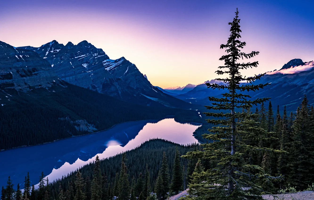 Photo wallpaper summer, Canada, Albert, summer, Alberta, Canada, Peyto Lake, Peyto Lake