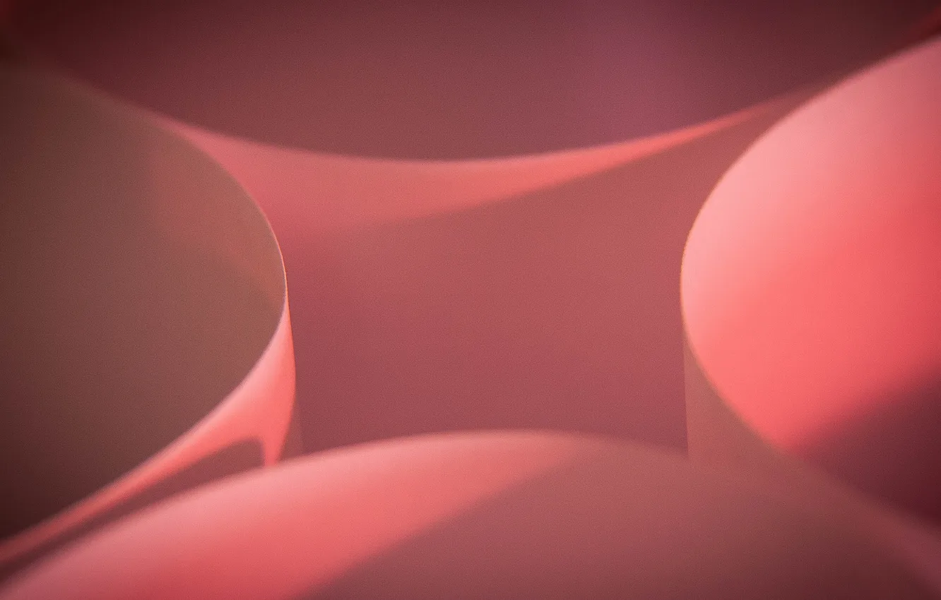 Photo wallpaper leaves, paper, color, curves