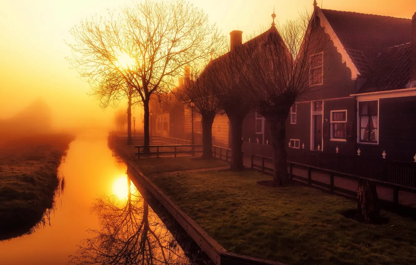 Photo wallpaper light, the city, fog, morning, Holland
