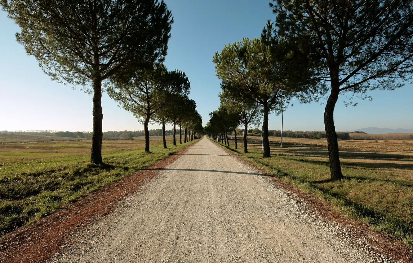 Photo wallpaper road, field, summer, trees