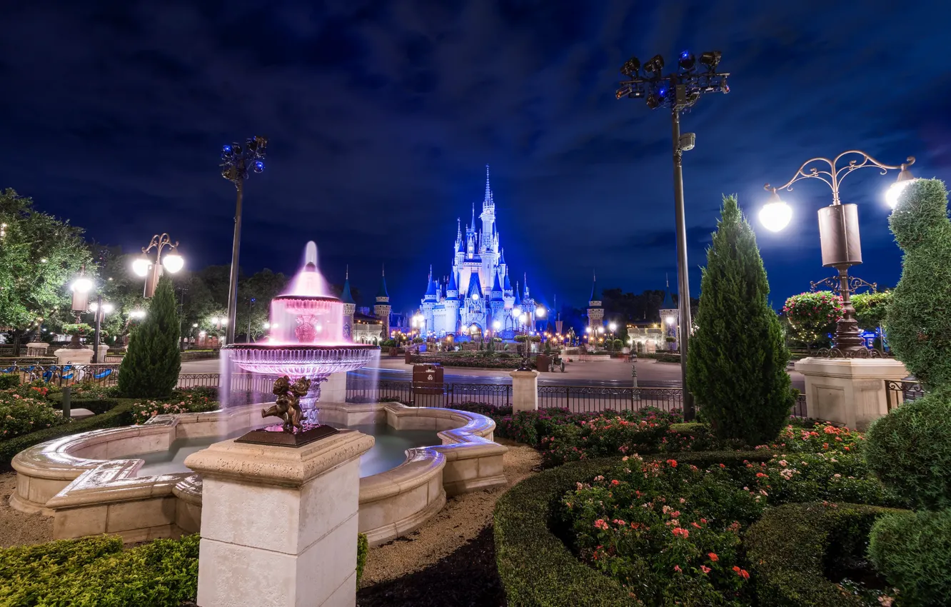 Photo wallpaper landscape, night, lights, Park, castle, fountain, Disneyland