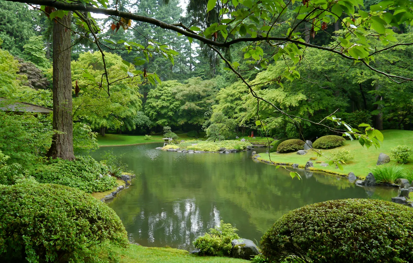 Photo wallpaper greens, grass, trees, branches, pond, Park, Canada, Vancouver