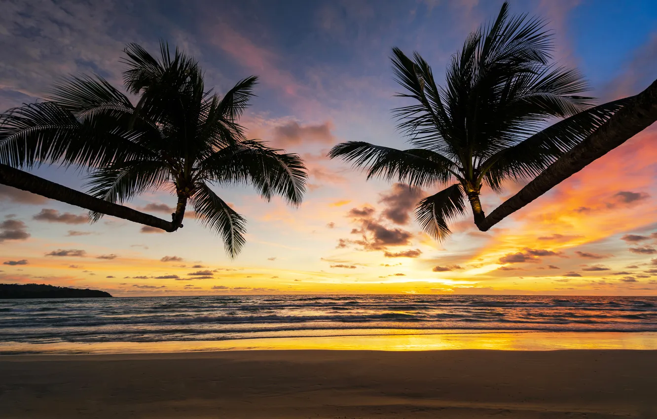 Photo wallpaper sand, sea, beach, summer, the sky, sunset, palm trees, summer
