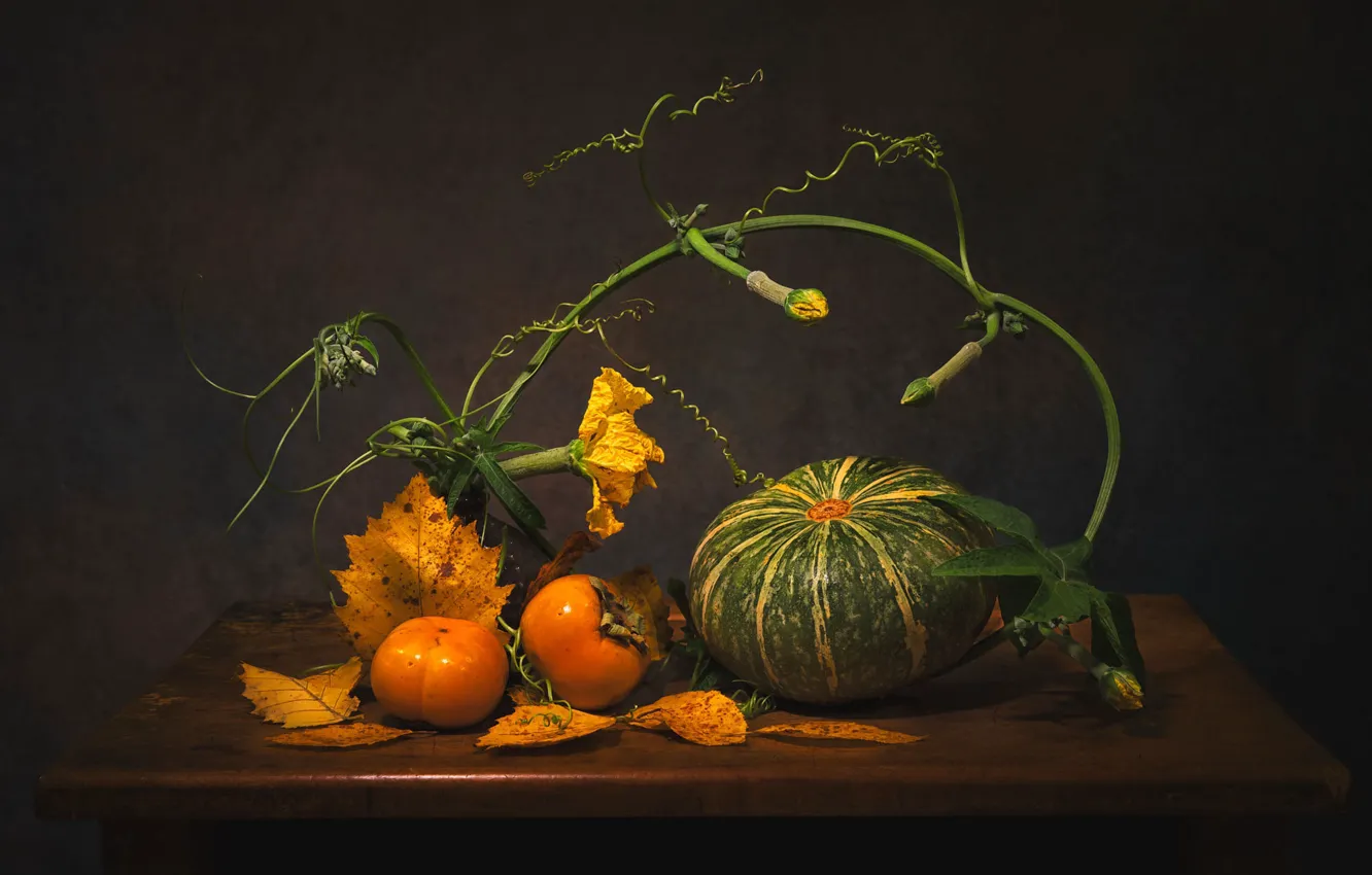 Photo wallpaper leaves, table, stem, harvest, pumpkin, still life, persimmon, autumn leaves