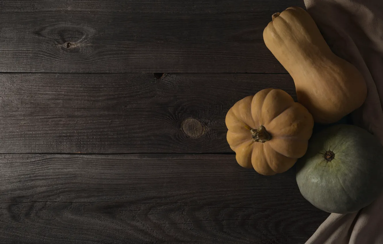 Photo wallpaper the dark background, Board, towel, pumpkin