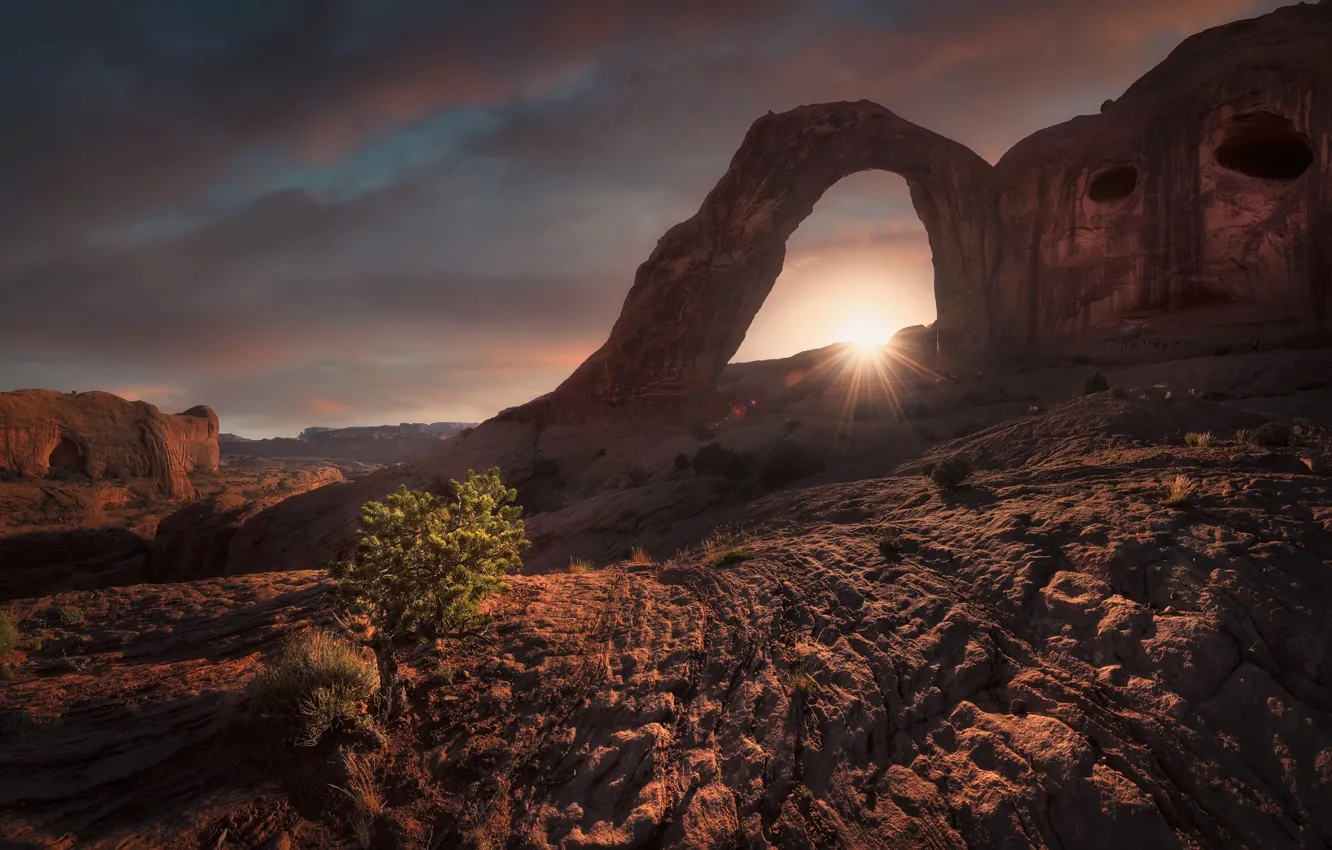 Photo wallpaper the sun, light, rocks, morning, USA