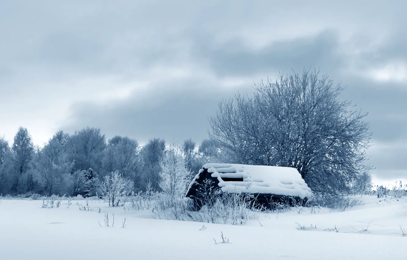 Photo wallpaper winter, snow, trees, nature, hut, nature, winter, snow