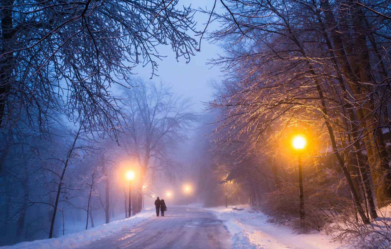 Photo wallpaper winter, road, night
