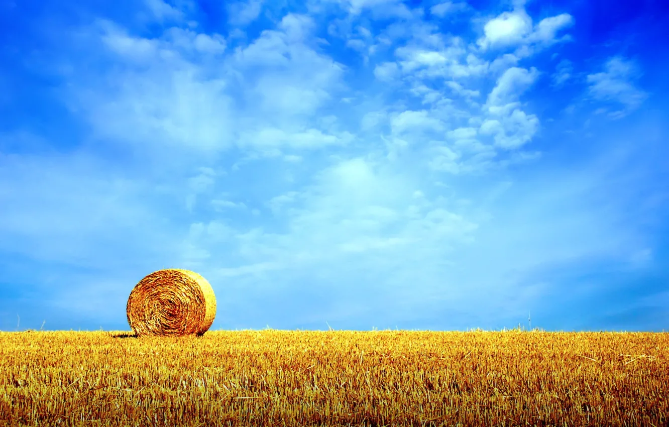 Photo wallpaper field, the sky, stack