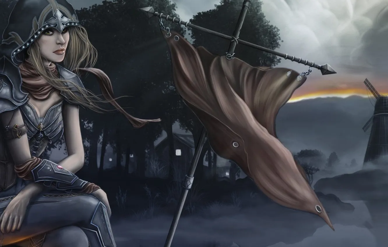 Photo wallpaper girl, the wind, art, hood, mill, Diablo 3, banner, sitting