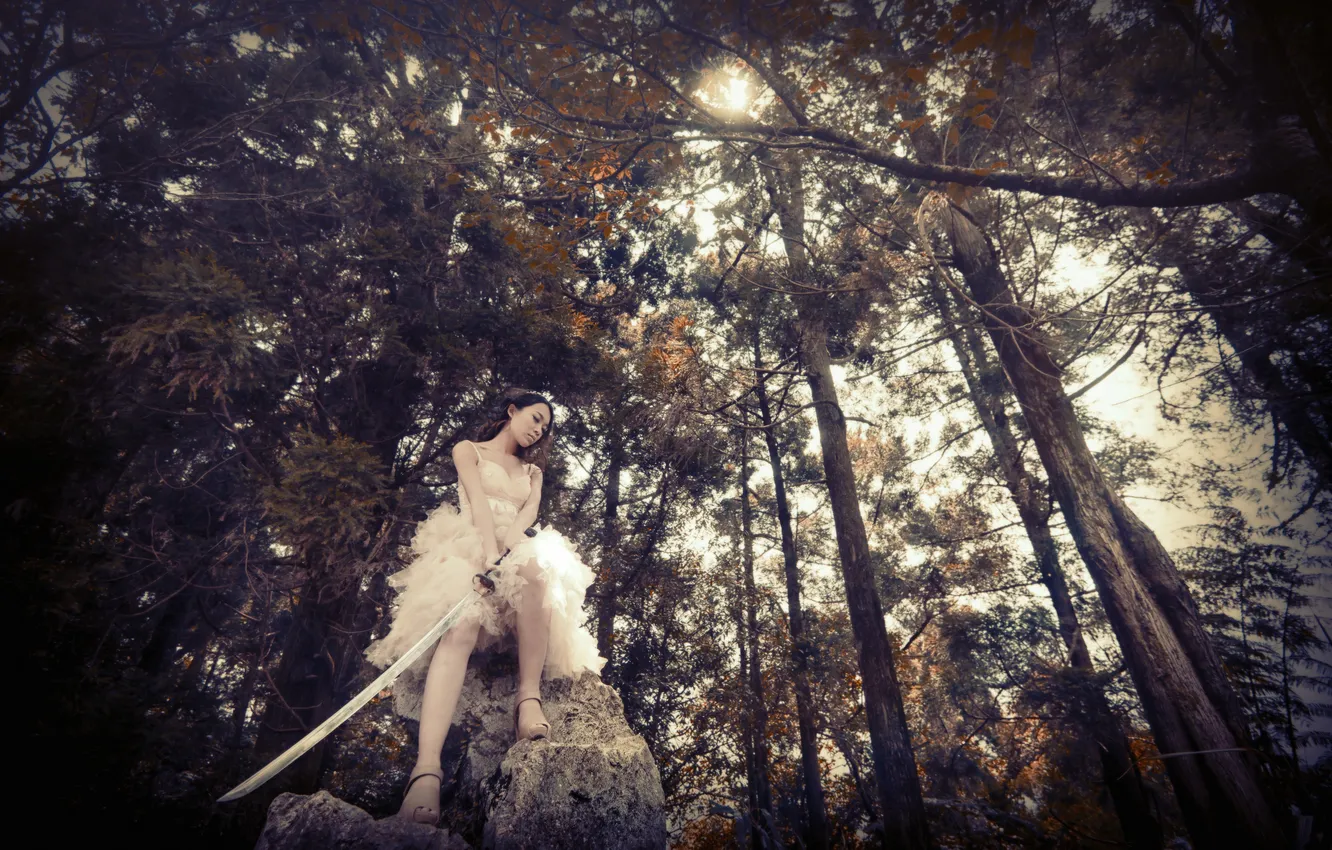 Photo wallpaper forest, girl, trees, sword