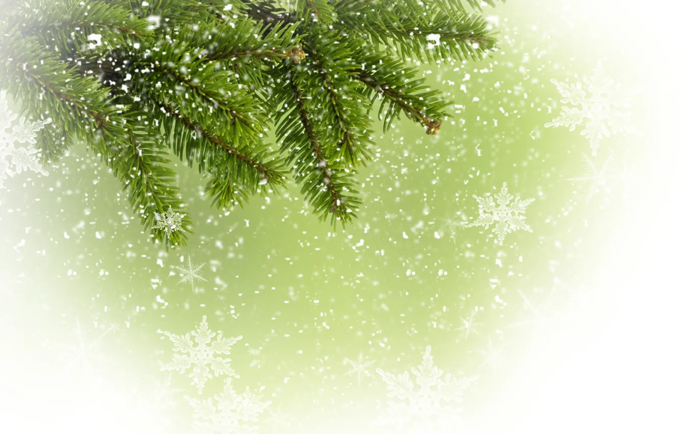 Photo wallpaper snowflakes, branch, tree