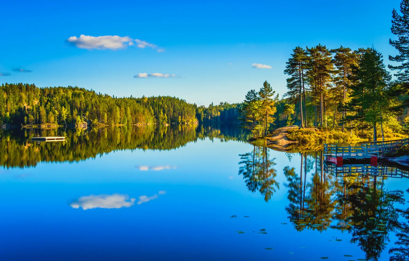 Photo wallpaper autumn, forest, the sky, trees, lake, pier