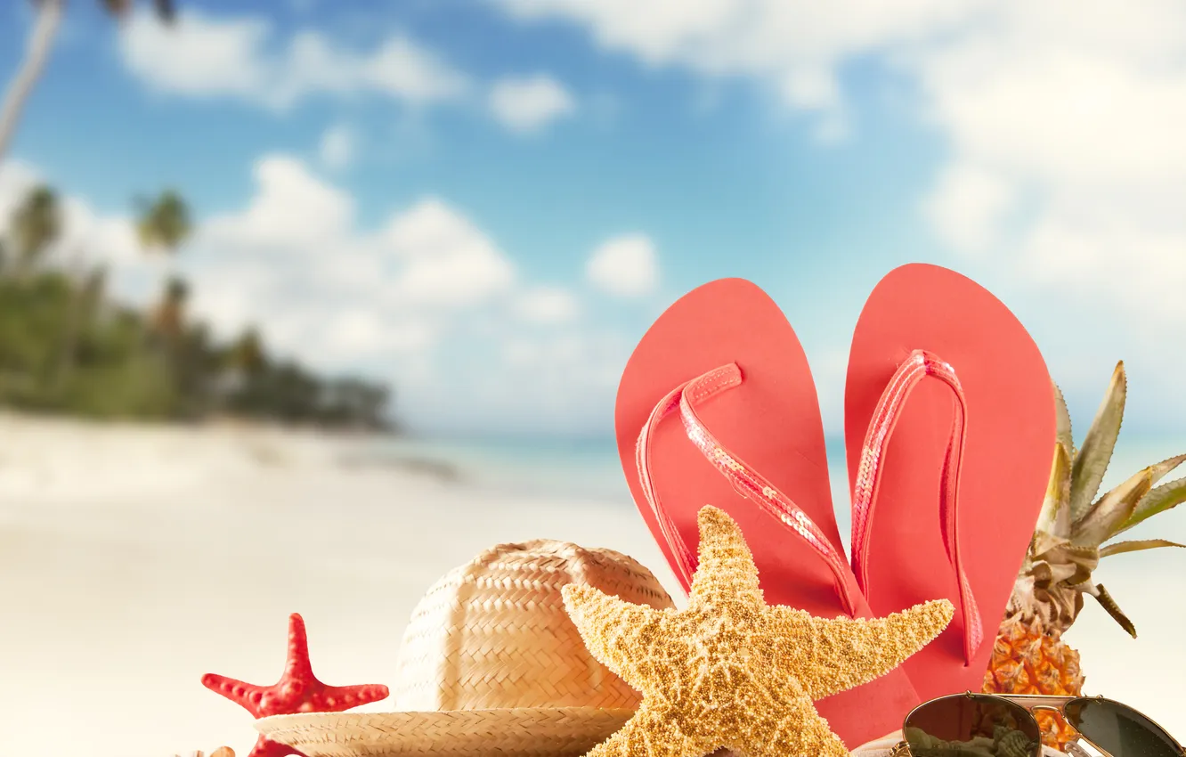 Photo wallpaper sand, beach, nature, seashells