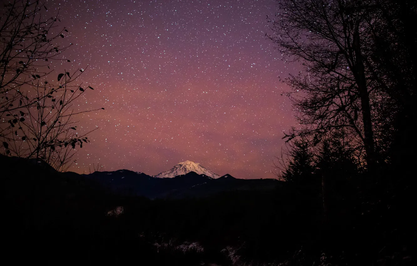 Photo wallpaper forest, stars, mountains, panorama, Rainier National Park