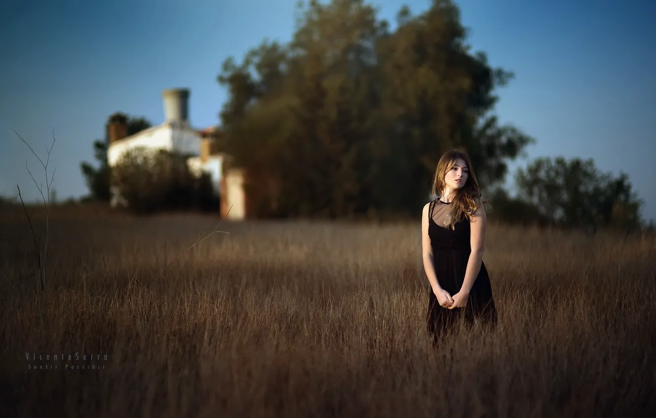 Photo wallpaper field, girl, the evening