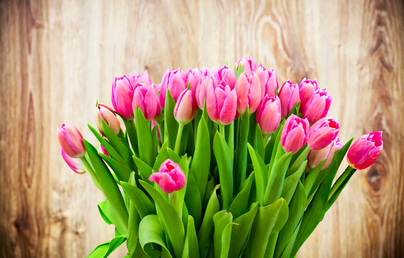 Photo wallpaper flowers, background, beauty, bouquet, pink tulips