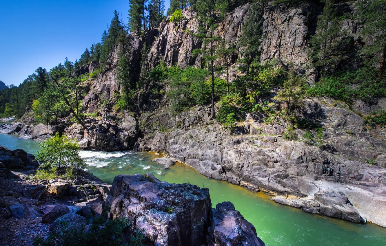 Photo wallpaper trees, mountains, river, rocks, Colorado, canyon