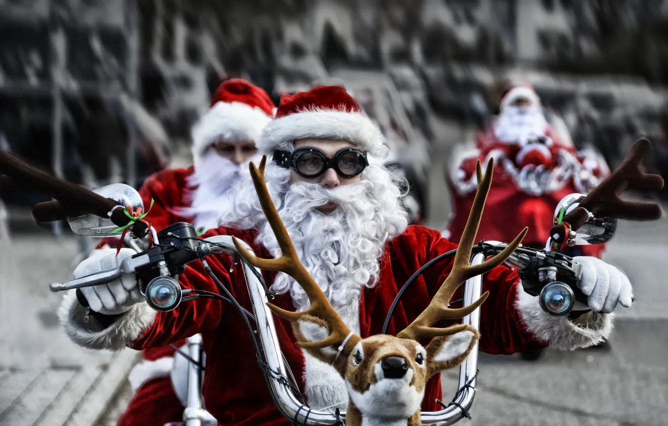 Photo wallpaper winter, look, face, holiday, bikers, speed, blur, deer