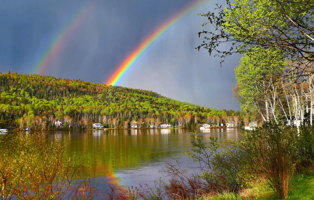 Photo wallpaper autumn, forest, the sky, light, branches, lake, pond, reflection